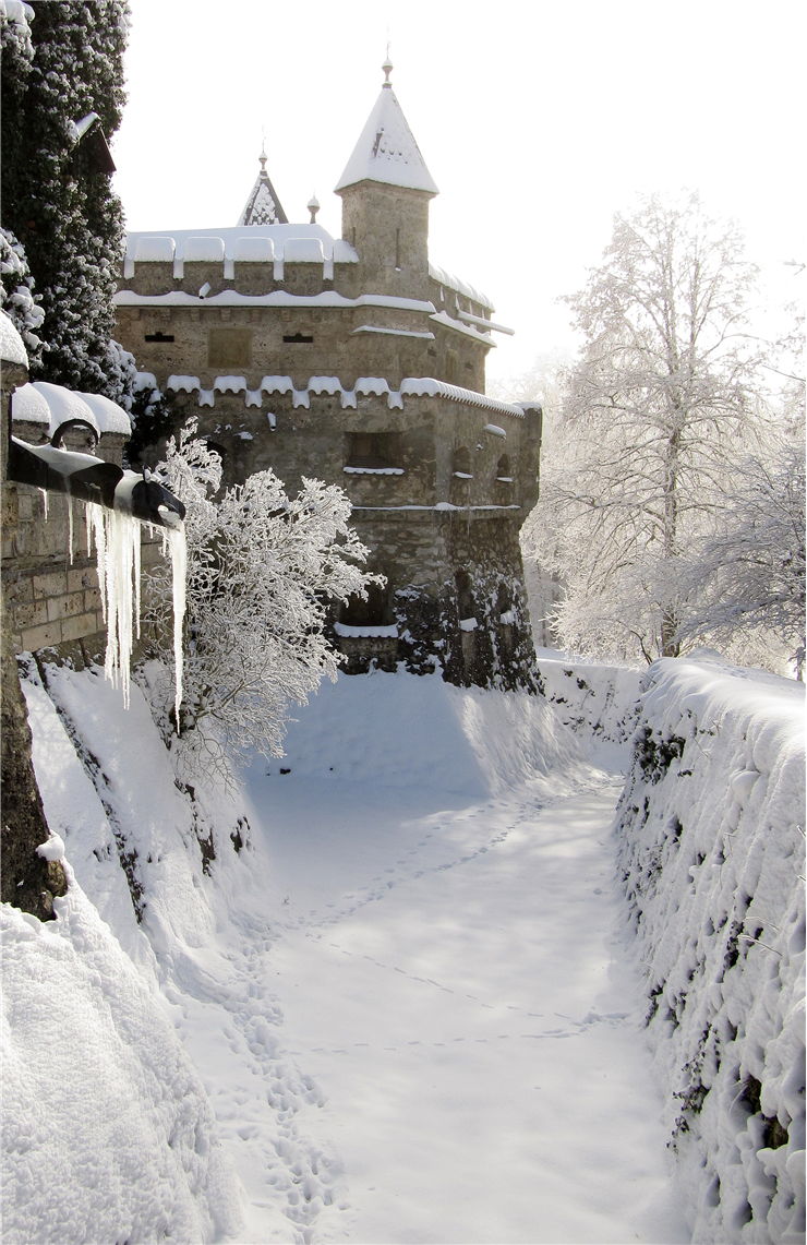 Lichtenstein Castle At Winter